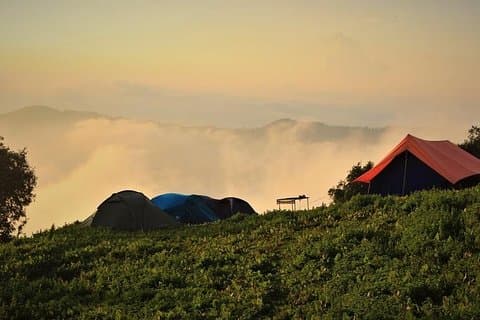 Nag Tibba 2 Days Trek (Pantwari to Pantwari)