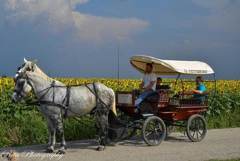 Food and wine tour