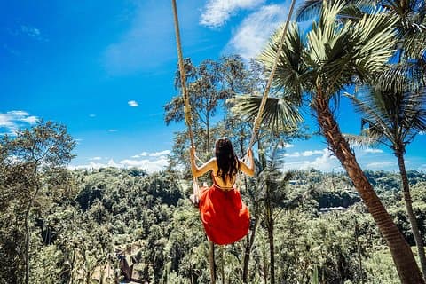 Real Bali Swing & Ubud Private Group Tour – Full Day