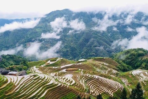 Private Tagestour zu den Longji-Reisterrassen ab Guilin