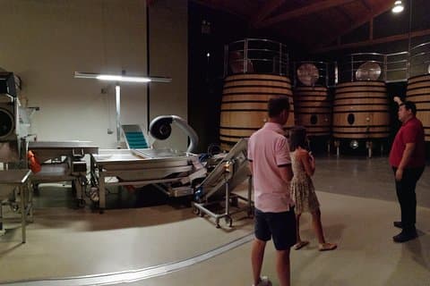 A day in Rioja Valley from San Sebastian