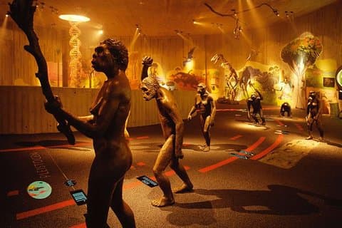 Time Capsule Tour: Neanderthaler Museum, Middeleeuws kasteel en de geboorteplaats van Tito