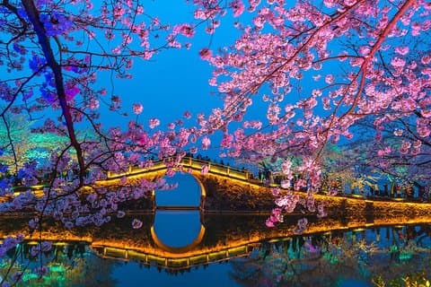 Tour privato di Wuxi Day da Shanghai con Bullet Train