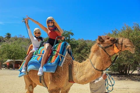 Camel Ride i Canyon og spændende vandrutsjebaner og snacks