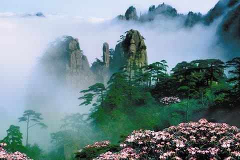 Tour privato di un giorno a Mountain Huangshan con pranzo a buffet e partenza da Tunxi