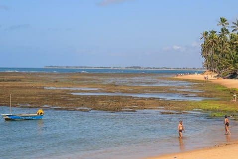Dagtour Praia do Forte, Salvador, Bahia, Brazilië