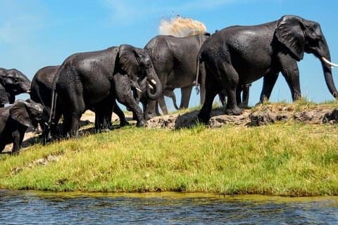 15 Days Namibia and Botswana | Guided Lodge