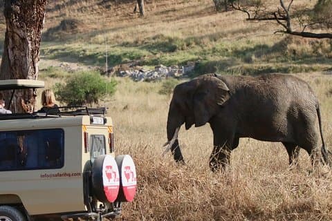 3-dages Serengeti National Park & Ngorongoro Crater Camping Safari