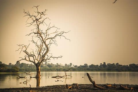 3 Days Safari - Selous Game Reserve