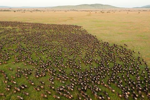 ザンジバルからのプライベート移住旅行5日間