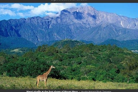 4日間のプライベートサファリンゴロンゴロクレーター、タランギレ、マニヤーラ、アルーシャ国立公園