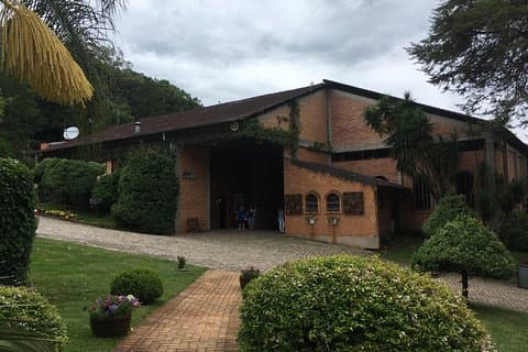 Privat tur Cave Geisse + 2 vingårder i Pinto Bandeira RS