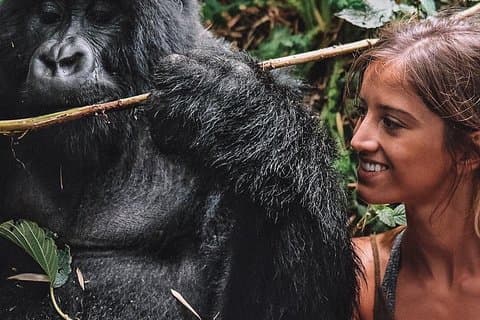 De Kigali: excursion d'une journée de 10 heures au Rwanda Gorilla Trekking avec déjeuner