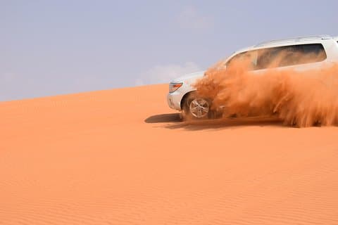 Safari por el desierto