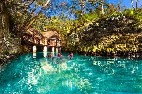Visite du parc Xcaret Plus avec transport depuis la Riviera Maya
