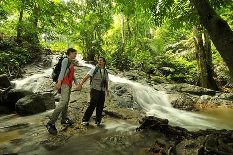 Um vislumbre da floresta tropical de Kuala Lumpur