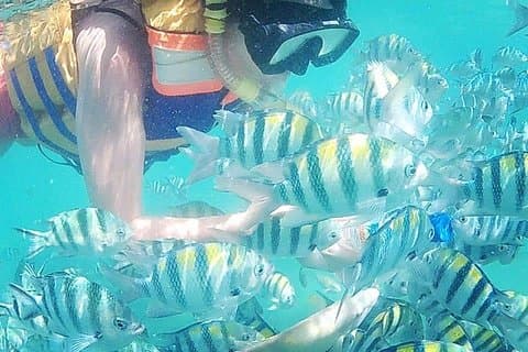 Snorkletur I Gili Nanggu