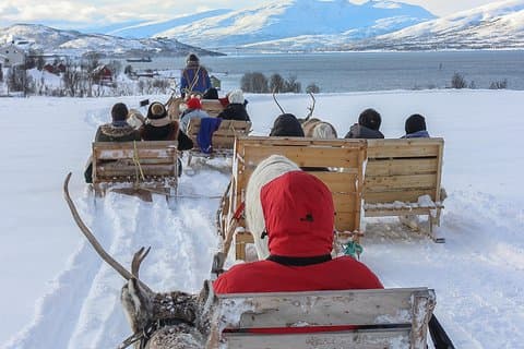 Sami Culture and Short Reindeer Sledding from Tromso