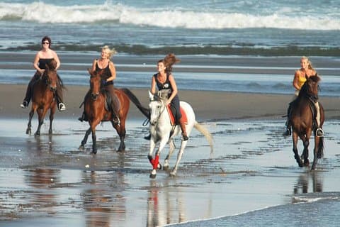 Andare a cavallo per godersi la spiaggia di sabbia estremamente nera