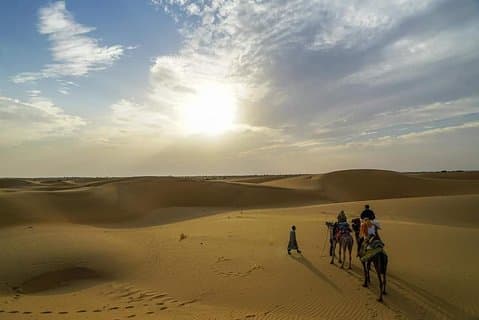 Camel safari in thar desert
