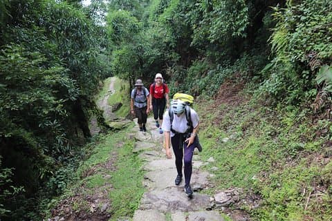 Trek du camp de base de Mardi Himal (5 jours)