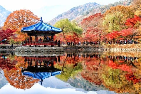 MONTE. Naejang Autumn Foliage y Jeonju Hanok Village Tour de 1 día