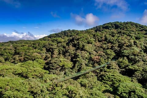 Ponti sospesi e guida turistica da Monteverde