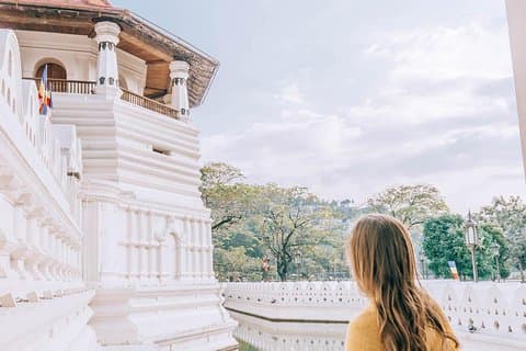 Private Day Tour to Explore Kandy from Colombo Harbor