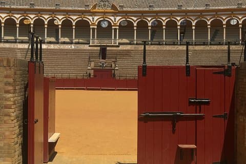 Bullring & Cathedral with Giralda Official guide Priority entrance