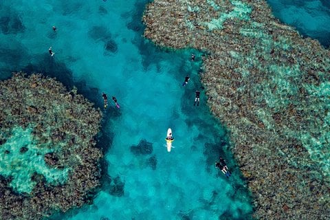 The Whitsundays & Hamilton Island - Full-Day Great Barrier Reef Snorkeling from Hamilton Island