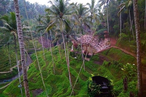 All Inclusive "Ubud ATV Ride, Reisterrassenblick & Ubud Swing