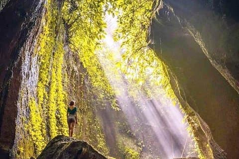 Ubud Swing, Rice Terrace et Waterfall Highlights Tour