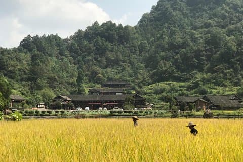 Excursão de 4 dias pela Zhangjiajie Experience (Hotel de 5 estrelas)