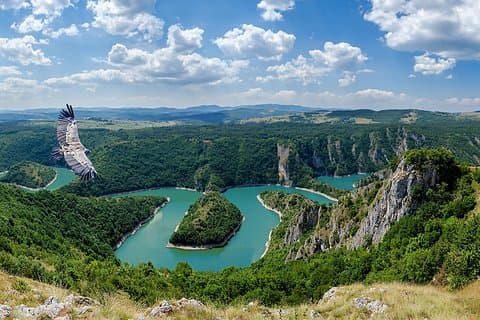 uvac canyon, Sargan 8 Railway, wood city, novi Sad, Subotica, 4 days tour
