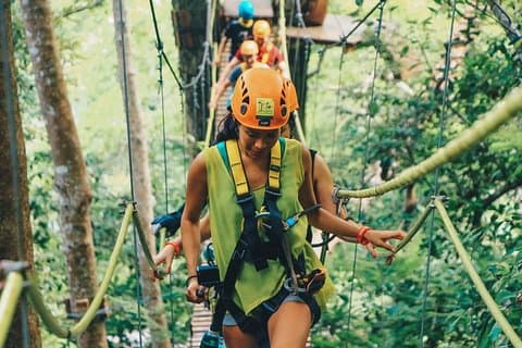 Zipline Adventure 32 Platforms + Roller + Skywalk