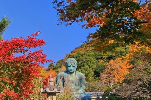 Private full day tour in Kamakura from Tokyo