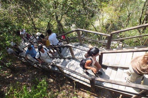 Tikal Ruins Day Tour from Flores