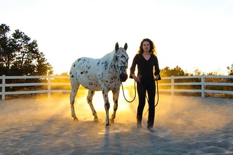 Retiro de Liderazgo y Mindfulness con Caballos - Individual y Grupal
