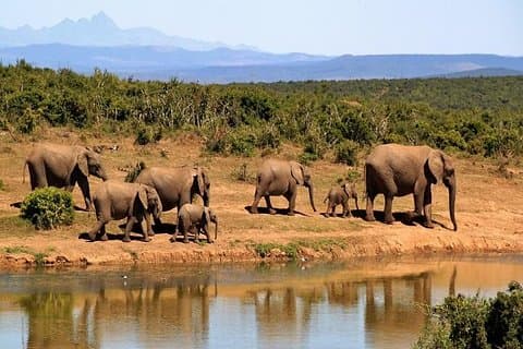 Day trip - Tarangire National Park