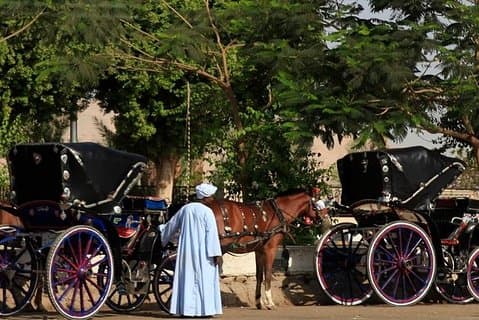 Carruagem do cavalo em Aswan