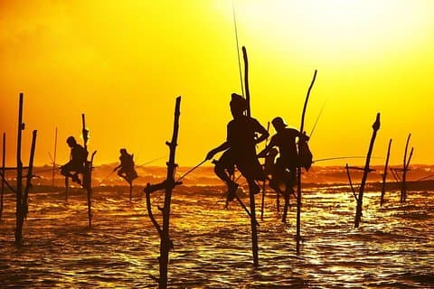7 noches en Sri Lanka Heritage Tour privado
