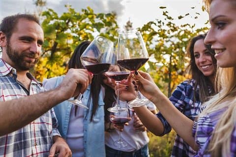 Tour del vino e fattoria di Alpaca a Shamakhy