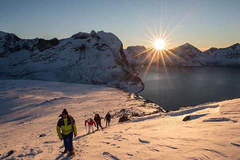 Tromso Snowshoeing - Fjordutsikt, Fjordutsikt, Wildlife, Måltid og henting