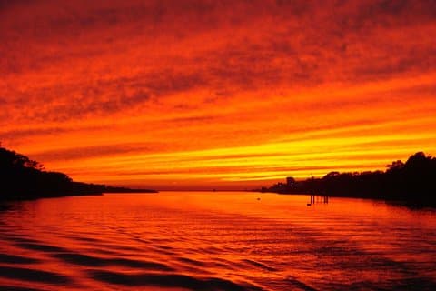 Dinner Cruise with Dolphin Watching from Cape May