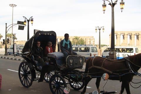 Explore Luxor in amazing City Tour, guide / Horse carriage
