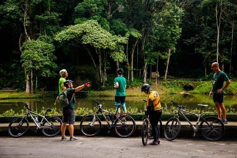 Mountain Bike Tijuca Rainforest