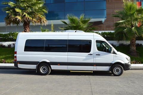 Fælles ankomstoverførsel: Los Cabos International Airport til Hotel