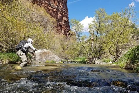 Guided Fly Fishing Experience in Park City
