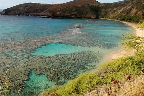 ワイキキ発ハナウマ湾シュノーケリング