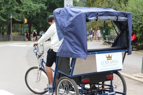 Central Park VIP Tour (All park tur upp till 2 timmar med obegränsad stopp) pedicab